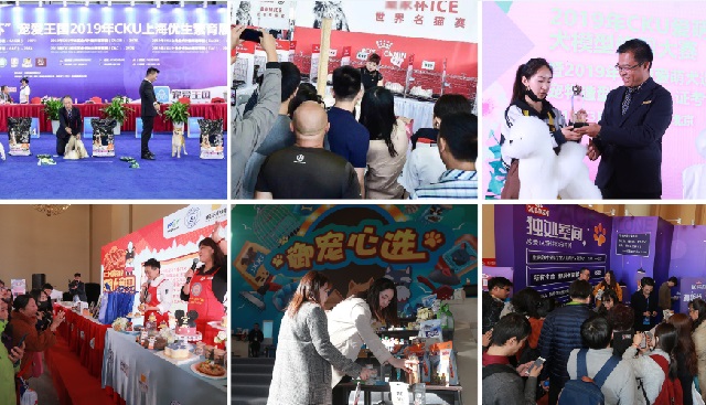 深圳華南寵物用品展Pet Fair South China(www.txdg.net.cn)