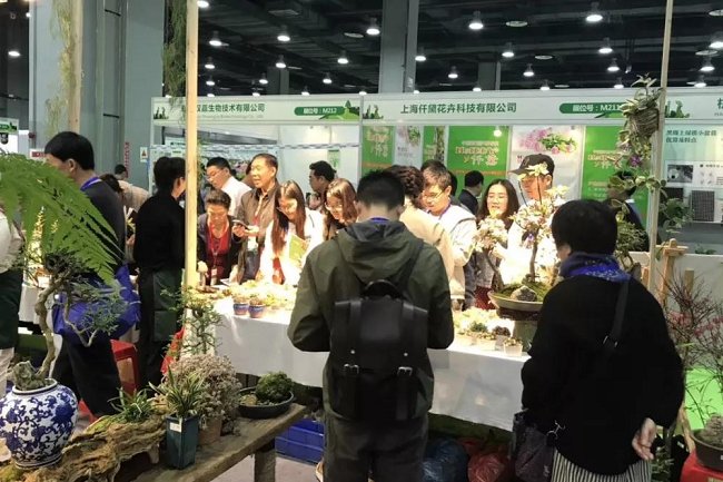 亞洲國際花卉園藝展覽會Flower Expo(www.txdg.net.cn)