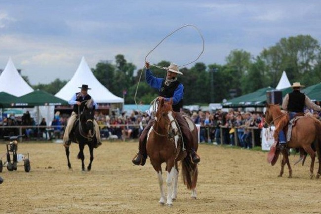 德國科隆馬術(shù)用品展覽會spoga horse(www.txdg.net.cn)